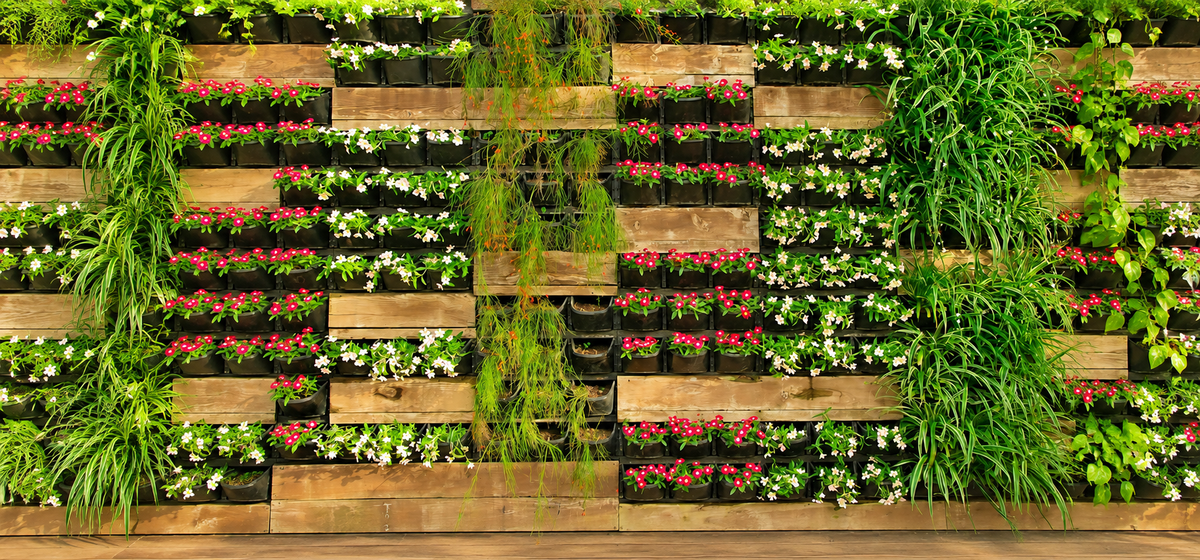Vertikalen Garten anlegen: Die besten Tipps für Garten, Balkon und Terrasse