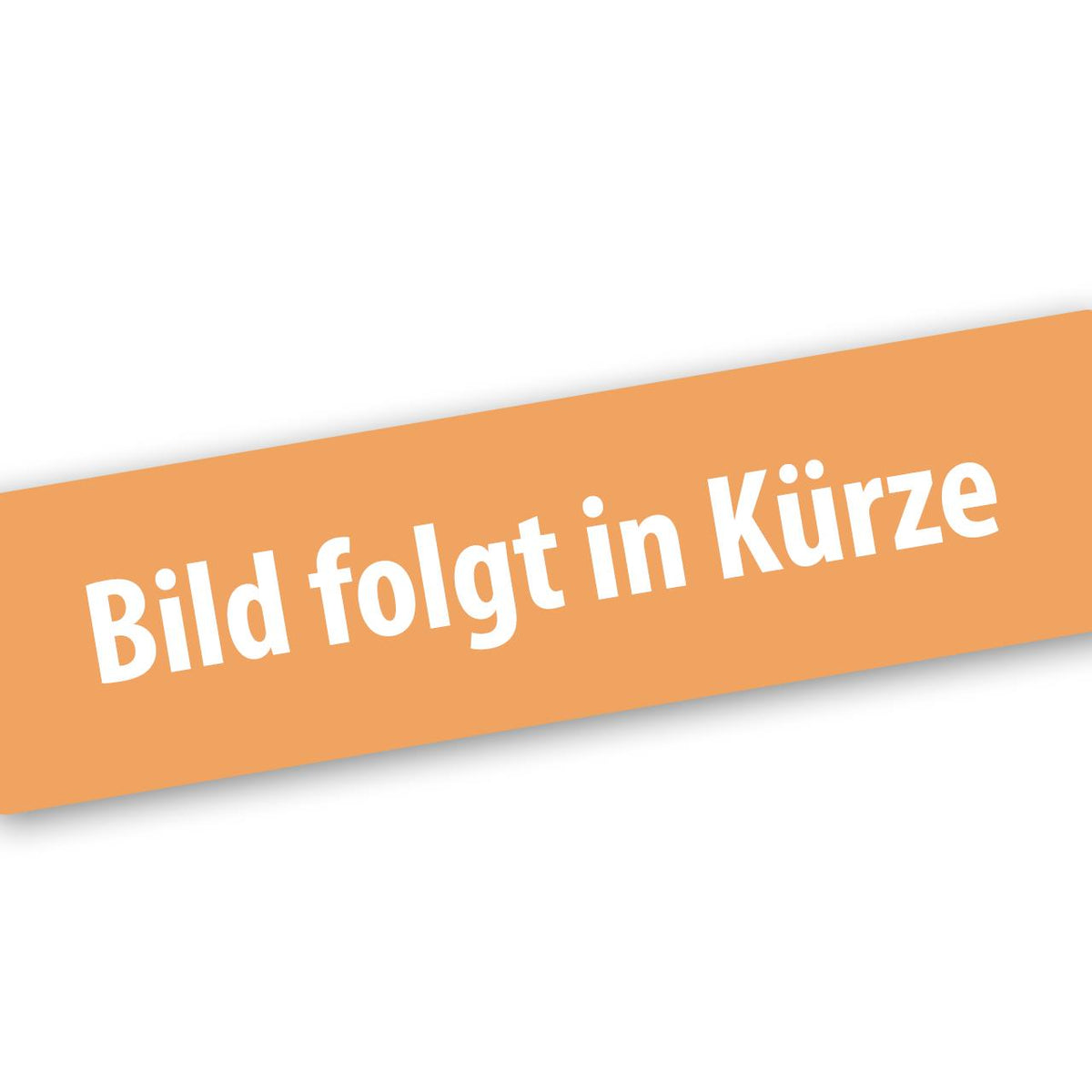 FUXTEC Auspuff für LBP165T